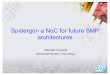 Spidergon a NoC for future SMP architecturesusers-tima.imag.fr/sls/petrot/Coppola_mpsoc04.pdf · Video Encoder Interface Sub-System Clocks MPEG2 LMI Blitter EMI Comms DVDecoder DACs