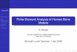 Finite Element Analysis of Human Bone Modelsbindel/present/2008-04-courant.pdf · Bone basics Bone measurement and modeling BoneFEA software Conclusion Finite Element Analysis of