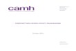 Prescription Opioid Policy Framework - CAMH · PRESCRIPTION OPIOID POLICY FRAMEWORK . 2016. Table of contents . ... primarily on tion opioid analgesics, the most common of which in