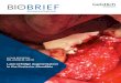 Lateral Ridge Augmentation in the posterior Mandible · 2019-05-21 · Minor Bone Augmentation procedures. Due to its high resorption stability and osteoconductivity Geistlich Bio-Oss®