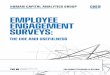 EMPLOYEE ENGAGEMENT SURVEYS - INDIVIDUALSindividuals.dk/wp-content/uploads/undersoegelser/... · 2020-05-20 · how one can work with employee engagement surveys in analytics. Acknowledgments