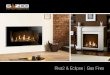 Riva2 & Eclipse| Gas Fires - Select Fireplace and Stove Company … › wp-content › uploads › ... · Your Gazco Expert Retailer will provide you with a Two Year Warranty for