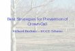 Best Strategies for Prevention of Crown Gallcetehama.ucanr.edu/files/23204.pdf · Crown Gall Disease of Walnuts. Causative agent: Agrobacterium tumefaciens > ubiquitous soil-borne