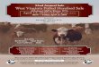 52nd Annual Sale West Virginia Polled Hereford Sale52nd Annual Sale West Virginia Polled Hereford Sale At Jackson’s Mill in Weston, W.Va. April 13, 2019 • 12:30 p.m. (EST) Show