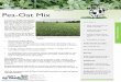 Forage Tech Sheet Pea-Oat Mix - King's AgriSeeds4010 Peas are a purple flower pea and can be planted in either spring or fall. Grows best in cooler climates. High-protein forage for