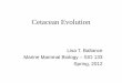 Cetacean Evolution - University of California, San   - Cetacean Evolution.pdf · PDF file

Cetacean Evolution Lisa T. Ballance Marine Mammal Biology – SIO 133 Spring, 2012