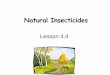 Natural insecticides · Learning Objectives Know the major categories of natural products and microbial insecticides; give examples of each Describe the general traits and give examples