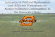 Influence of Wetland Restoration and Adjacent Watersheds on …rwbjv.org/wp-content/uploads/2016/03/Wetland-Restoration... · 2019-05-22 · and Adjacent Watersheds on Native Pollinator