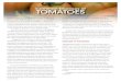 Common Diseases of Tomatoesextension.msstate.edu/sites/default/files/... · common diseases that affect tomatoes in Mississippi are caused by various fungi, bacteria, and viruses