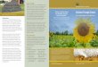 Solutions Through Science - USDA-APHIS · PDF file Solutions Through Science Managing Roosts Throughout the Prairie Pothole Region of the Great Plains, commercial sunflower crops are