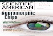 MAY 2005 Neuromorphic Chipspages.ucsd.edu/...Neuromorphic-Microchips-SciAm.pdfhen IBM’s Deep Blue supercomputer edged out world chess champion Garry Kasparov during their celebrated