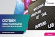 OXYGEN - InSpark · 2019-06-25 · Digital Agents (bots) MODERN WORKPLACE Windows 10 Microsoft 365 Office 365 Enterprise Mobility + Security ... New insights New policies/approaches