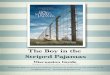 A discussion guide for youth group facilitators, educators ... · This program guide is best used after viewing the Miramax movie and reading the book, The Boy in the Striped Pajamas
