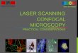 EPFL SV PTBIOP LASER SCANNING CONFOCAL MICROSCOPY of confocal II_2015.pdf · Widefield microscopy •Detector efficiency : 60%-80% •Detector noise: 4 RMS electrons/pixel •Pixel