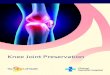 Knee Joint Preservation - Changi General Hospital ¢â‚¬¢ Intraarticular hyaluronic acid injections into