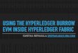 USING THE HYPERLEDGER BURROW EVM INSIDE HYPERLEDGER FABRIC · USING THE HYPERLEDGER BURROW EVM INSIDE HYPERLEDGER FABRIC MOTIVATIONS Allows developers to use languages such as Solidity