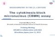 The cytokinesis-block micronucleus (CBMN) assay€¦ · Miura T., Hirosaki University Graduate School of Health Sciences General Protocol Criteria for Scoring (a) The cells must be