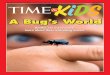 Beetles are everywhere. Learn about these interesting insects. · Reddick know it was new? “I had to look closely at the hairs on its ankle bones,” she told TIME for Kids. Reddick