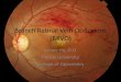 Branch Retinal Vein Occlusions (BRVO)€¦ · Branch Retinal Vein Occlusions (BRVO) Amiee Ho, O.D. Pacific University College of Optometry . Course Description •This course offers