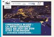 CROISSANCE BLEUE : LA MÉDITERRANÉE FACE AU ...awsassets.wwfffr.panda.org › downloads › medtrends__page_par...2 Croissance bleue : la Méditerranée face au défi du bon état