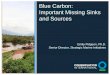 Blue Carbon: Important Missing Sinks and Sources E Pidgeon.pdf• actions that maintain stored carbon, minimise emissions Provide basis for incentives to conserve or restore • philanthropic