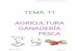 TEMA 11 AGRICULTURA GANADERÍA PESCA...TEMA 11 AGRICULTURA GANADERÍA PESCA Obj. Actividades del sector primaria: agricultura, ganadería y pesca Parque-Colegio Santa Ana Aula P.T
