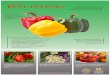 BELL PEPPERS - OregonBell peppers grow better in Oregon than hot peppers because of the mild summer temperatures and shorter growing season. Bell peppers can be yellow, green, orange,