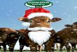 2018gonalstonfarmshop.co.uk/files/ww/Christmas Brochure 2018...Farm Shop Christmas Selection. We hope you are tempted by this selection of our best-selling festive food and drink to
