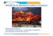 Wildfires & WildlandUrban Interfaceindico.ictp.it › event › a14267 › session › 44 › contribution › 92 › materi… · Peshtigo (Wisconsin, 1871): 2500 deads et 486 000