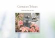 Cremation Tributes · 2020-05-13 · Funeral Ceremony Followed by Cremation *This estimate does not include additional merchandise or cash advance items. ... memorial folders, acknowledgement