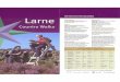 Larne Country Walks (Low Res) - Home - WalkNIwalkni.com/wp-content/uploads/Larne-Country-Walks.pdf · Scawt Hill Skernaghan Point 1 3 0.4 OS/2 mins/40 mins On lead 20 3 hours 2 hrs30