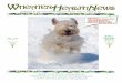 published by the Soft Coated Wheaten Terrier Club of ... · of Soft Coated Wheaten Terriers. We absolutely must reach 500 dogs by the end of 2011! We are extremely pleased to announce