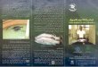 Seabass Broodstock 0/0 0/0 Collection of Broodstock ... ... Seabass Broodstock 0/0 0/0 Collection of Broodstock stretches Lates calcarifer C y Asian Seabass Asian Seabass Perch Lates