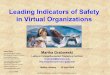 Leading Indicators of Safety in Virtual OrganizationsLeading Indicators of Safety in Virtual Organizations 6/21/2006 15 Criteria for Selecting Indicators • Indicators should be worth