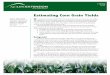 Estimating Corn Grain Yields - Texas A&M UniversityEstimating Corn Grain Yields T o estimate the grain yield of a corn crop before harvest, farmers can collect ... each row of an ear,