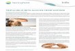 TRIPLE HELIX BETA GLUCAN FROM SHIITAKE - The Nutrition …the-nutrition-network.com/wp-content/uploads/2017/... · TRIPLE HELIX BETA GLUCAN FROM SHIITAKE LENTINAN AND SHIITAKE MYCELIUM