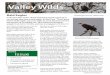 Valley Wilds May 2017 A publication of the LARPD Open ...Spiders and Their Kin Sunday, May 7 10:00am They creep, they crawl, and they give many folks the heebee jeebees. They are the