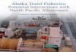 Alaska Trawl Fisheries: Potential Interactions with North Pacific … · 2015-04-02 · Alaska Trawl Fisheries: Potential Interactions with North Pacific Albatrosses 1 S tudies of