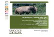 SPECIES STATUS REPORT - NWT Species at Risk · This species status report is a comprehensive report that compiles and analyzes the best available information on the biological status