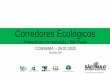 Corredores Ecológicos Proposta de normatização - São PauloCorredores Ecológicos - Proposta de normatização – São Paulo CONECTIVIDADE Conceitos: O termo introduzido por Merriam