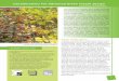 Considerations For Advanced Green Facade Design · 2013-05-08 · green walls: Introduction to Green Walls: Technology, Benefits, and Design (2008), see this link. LEARNING OBJECTIVES