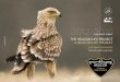THE HELICON LIFE PROJECT A HELICON LIFE PROJEKT · The data of the HELICON LIFE project: Title: Conservation of imperial eagles by managing human-eagle conflicts in Hungary ID LIFE10NAT/HU/000019