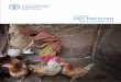 FAO Pakistan Newsletter October-December 2014 · resume living on my land,” said 45-year old Ghani ur-Rahman, beneﬁciary from the village of ... keen interest in the Agricultural