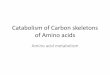 Catabolism of Carbon skeletons of Amino acids Lecture 8... · 2020-01-27 · Branched chain amino acid degradation • Degradation of Ile, Leu, and Val use common enzymes for the