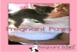 Pregnant Paws: A Guide to Keeping Companion Animals ... · Education Division as part of the Pregnant Paws Program. This resource is intended as a guide only; advice given is general