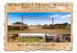 Wild Card Horse Ranch - LandAndFarmimages.landsofamerica.com/imgs2/29/80/ad/WildCardHorseBrochur… · Wild Card Horse Ranch Donley County, Texas We are pleased to offer the exclusive