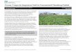 Cover Crops to Improve Soil in Prevented Planting Fields · Cover Crops to Improve Soil in Prevented Planting Fields. Compaction on these soils is a concern that needs remediation