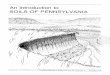 An Introduction to SOILS OF PENNSYLVANIA · 2019-05-17 · INTRODUCTION An understanding of soils, their development, properties, and use potential, is both fascinating and important