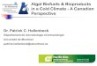 Algal Biofuels & Bioproducts in a Cold Climate - A ... · Algal Biofuels & Bioproducts in a Cold Climate - A Canadian Perspective. Proposed Advantages Downsides-Can be grown on marginal