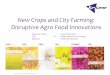 New Crops and City Farming: Disruptive Agro Food …...New Crops and City Farming: Disruptive Agro Food Innovations The crop innovation company Arjen van Tunen Gus van der Feltz CEO
